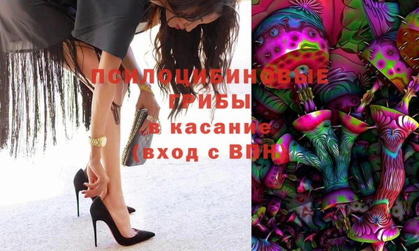 прущие грибы Абдулино