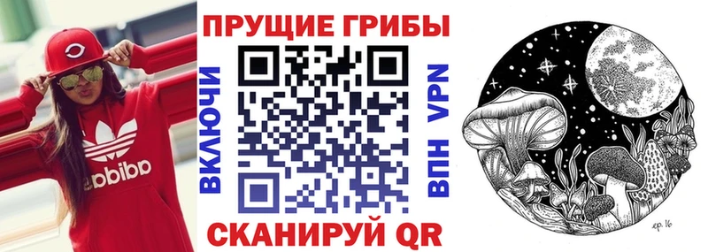 закладка  Тихорецк  гидра как войти  Галлюциногенные грибы Psilocybine cubensis 